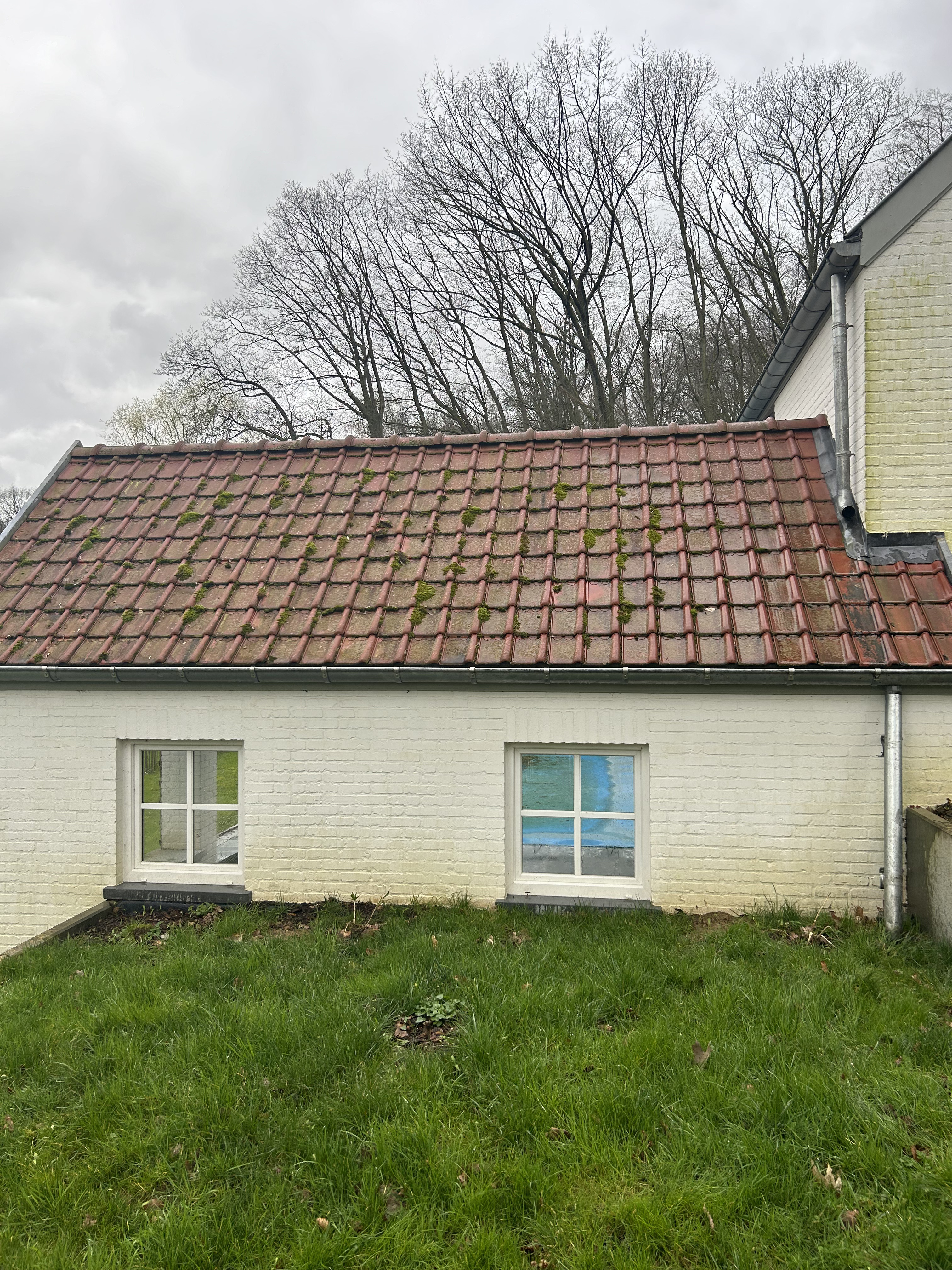 Nettoyage toiture - Avant